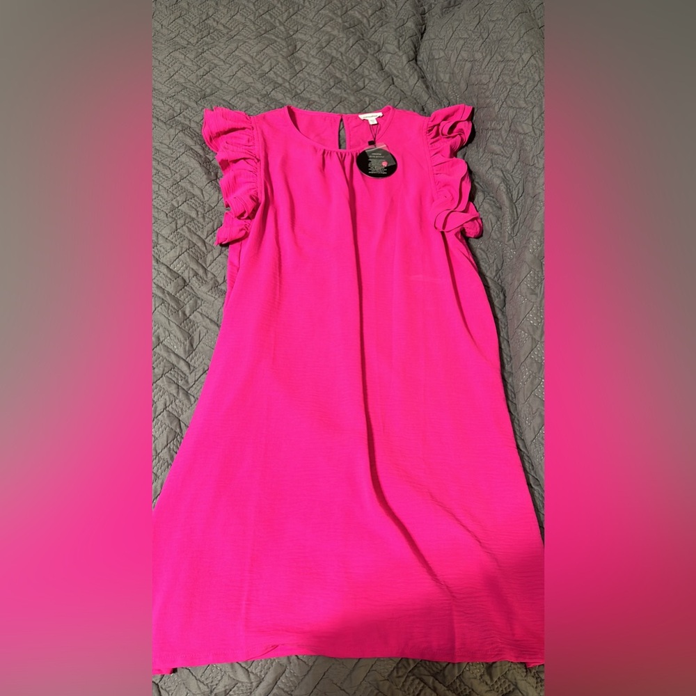 Brand New with Tags ruffle sleeve dress